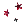 d0020620_23314788.gif