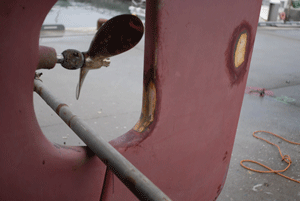 a0051924_1457529.gif