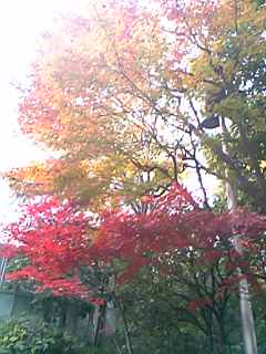 e0087443_23102058.jpg
