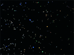 e0005548_1412399.gif