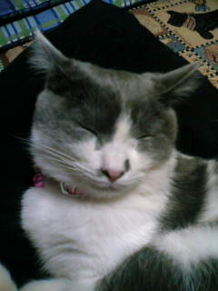 f0084048_031910.jpg