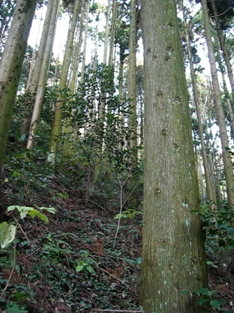 d0007657_11123086.jpg