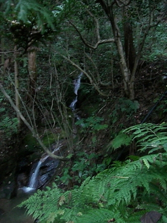 d0007657_11133164.jpg