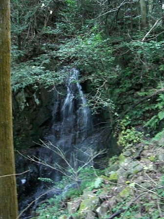 d0007657_11134770.jpg