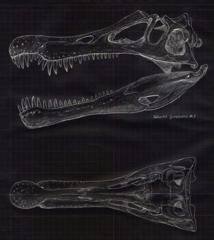 e0064457_22576.jpg