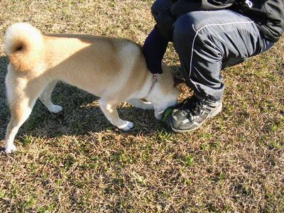 2006年12月20日(水)・・・愛ちゃん家のある日の一日_f0060461_2123738.jpg