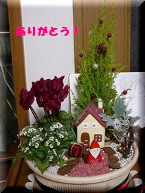 c0093180_6195631.jpg