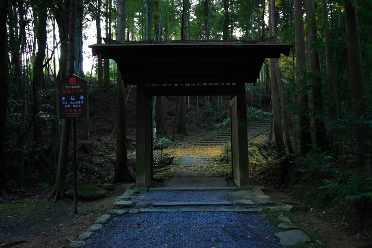 正伝寺_e0051888_22282999.jpg