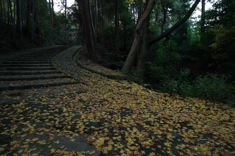 正伝寺_e0051888_2229385.jpg