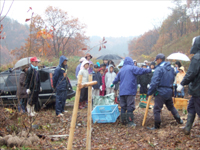 木橋かけたよ!それも2つも!_f0090602_19341818.jpg