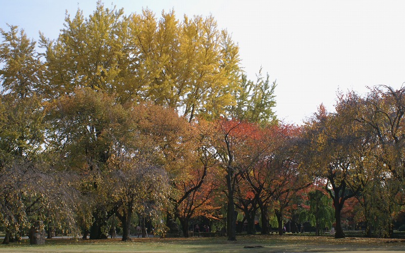 e0039703_1837491.jpg