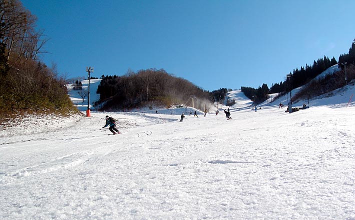 c0078410_1453962.jpg