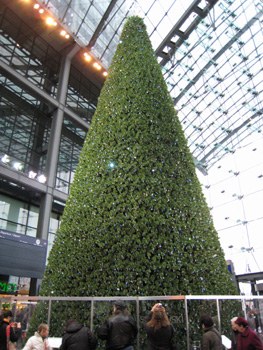 中央駅のクリスマス_e0038811_8462594.jpg