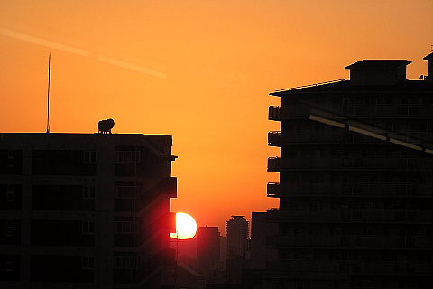 昨日の住吉夕景と今朝の空_a0037019_741156.jpg