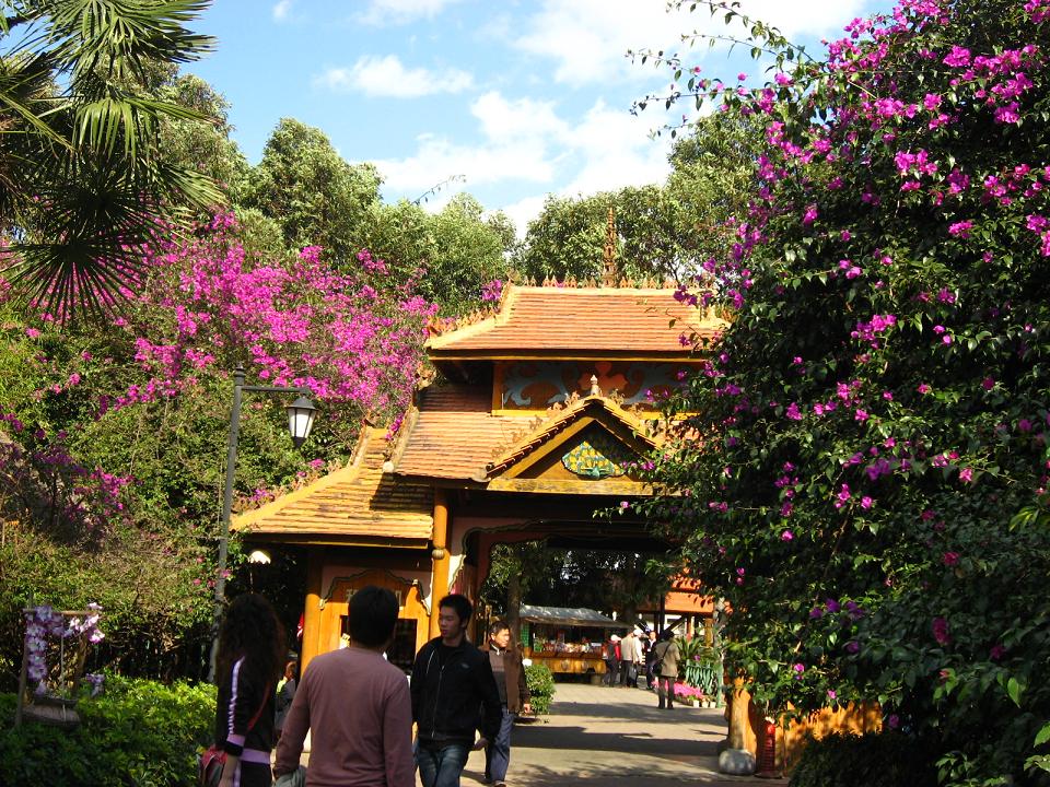 a0048423_21163341.jpg
