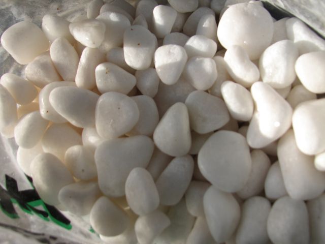 c0085630_1415321.jpg