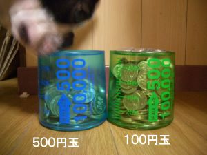 c0035443_172952.jpg