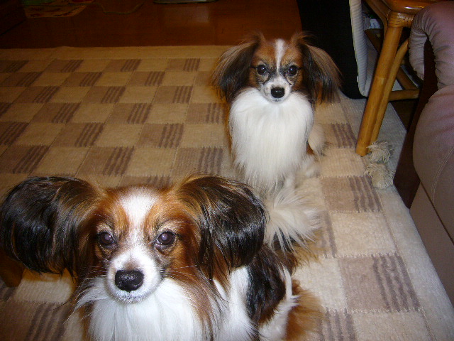 e0100046_031392.jpg