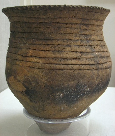 Ⅰ 久が原式土器 中根君郎氏発掘資料 : やちくりけんブログ