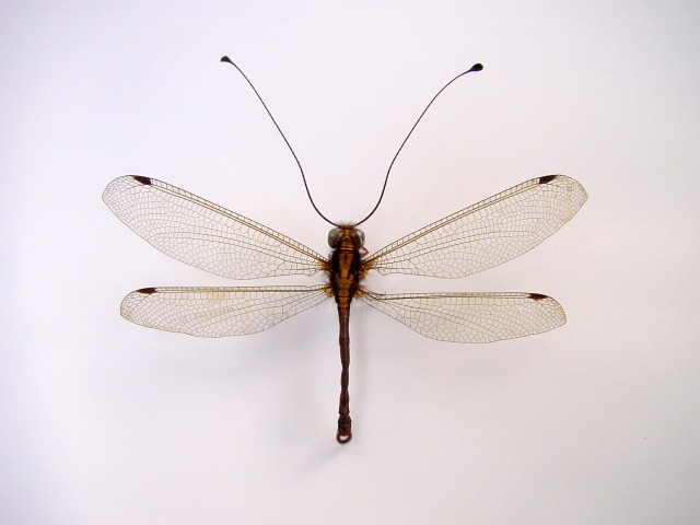 d0094165_19234038.jpg