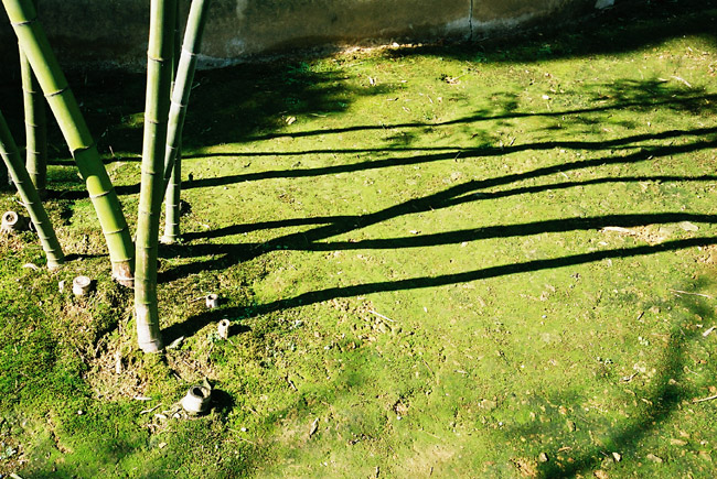c0054876_18392734.jpg