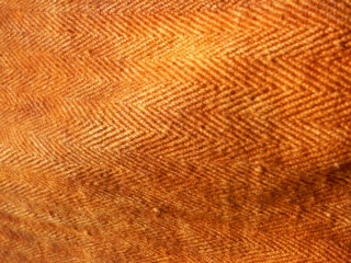 f0089079_30798.jpg