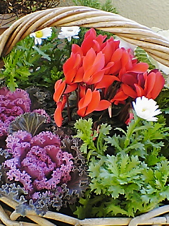 c0099182_19265292.jpg