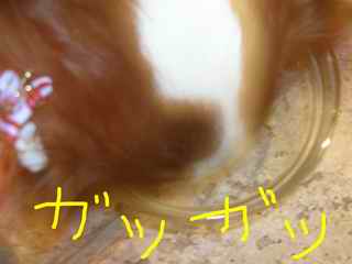 f0046194_23542199.jpg