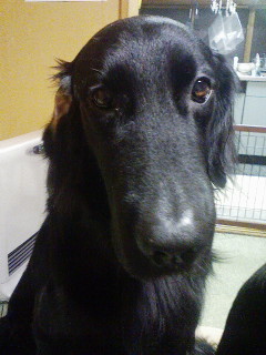 c0040702_16503483.jpg