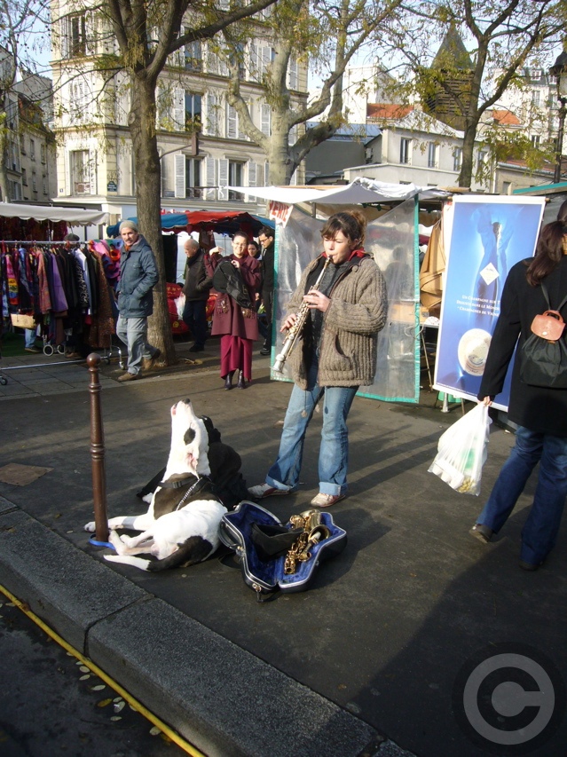 ■働く犬(PARIS）_a0008105_19514536.jpg