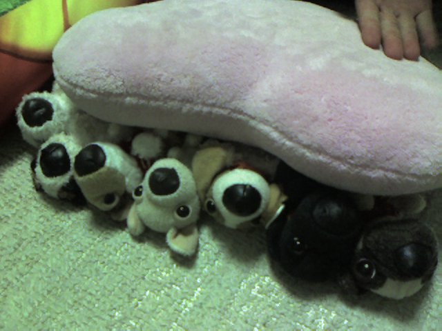 c0087305_18383159.jpg