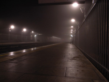 Dense Fog_e0024206_56484.jpg