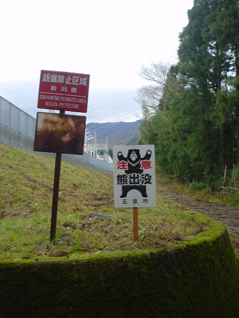 熊が出るぞ～_d0039111_1534371.jpg