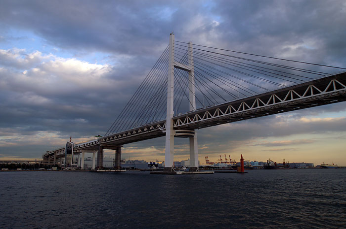 d0089024_114990.jpg