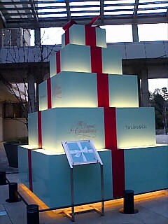 a0090126_10402936.jpg