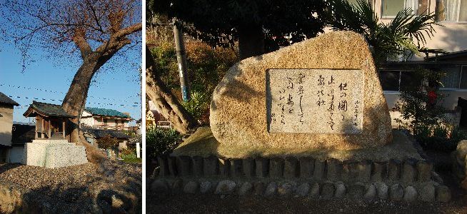 橋本市～かつらぎ町探訪①（06.12.20）③妻の杜神社・・・_a0016431_1244572.jpg