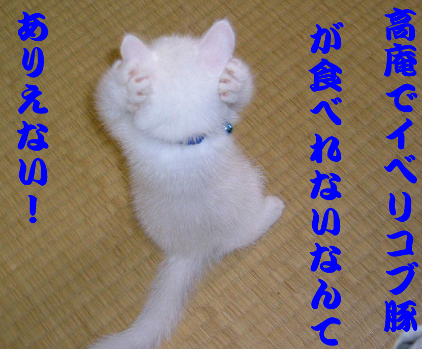 一身上の都合!_a0019032_1275913.jpg