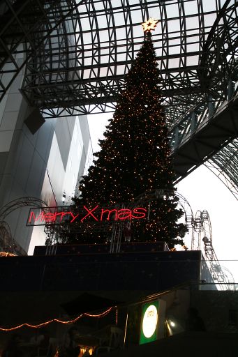 京都駅にて・・・メリー・クリスマス_a0031741_2243538.jpg