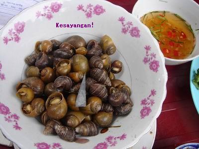 タニシ Kesayangan タニシ Kesayangan