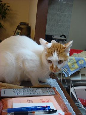 f0046854_2011094.jpg