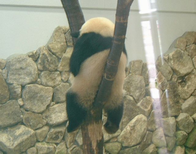 e0032163_934997.jpg
