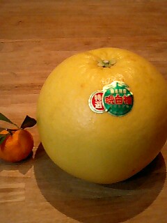 c0062676_234515.jpg