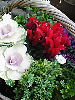 c0099182_15583285.jpg