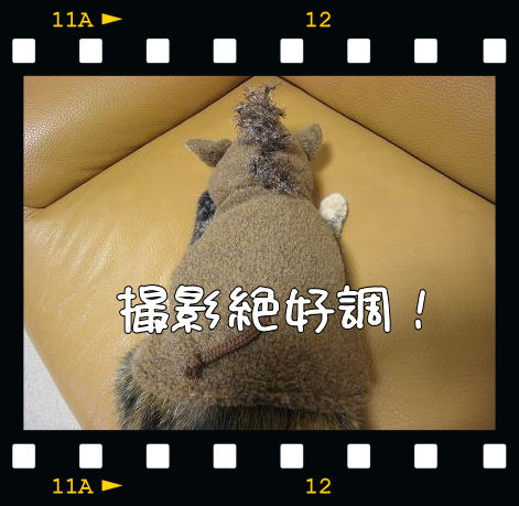 a0045990_142615.jpg