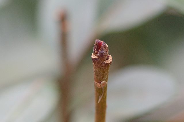 e0070891_21201289.jpg