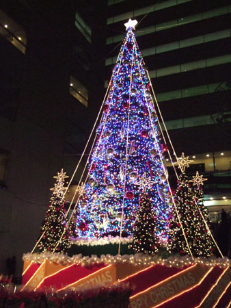 近づいてきましたね、クリスマス_a0042501_939045.jpg