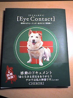 Eye Contact 写真集_d0050503_21483279.jpg