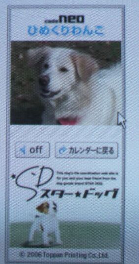 ひめくりわんこ　/　Daily doggy calendar for blog_a0032004_4484791.jpg