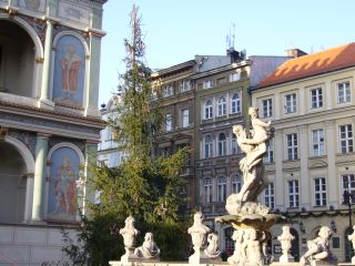 e0039206_224352.jpg