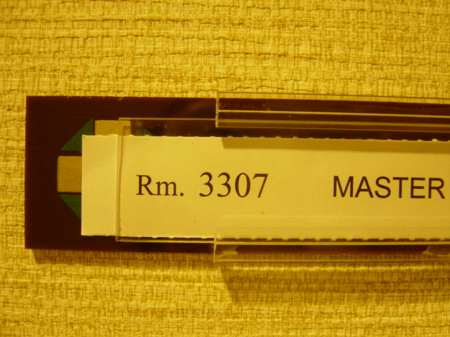 e0086206_1102817.jpg